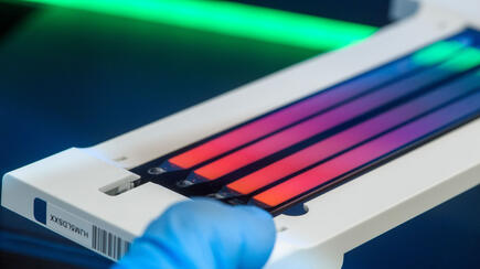 Scientific image