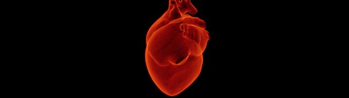 Artistic rendering of a heart