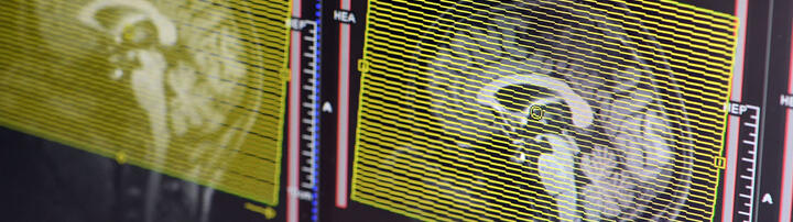 Niendorf Lab Header Niendorf Lab Header