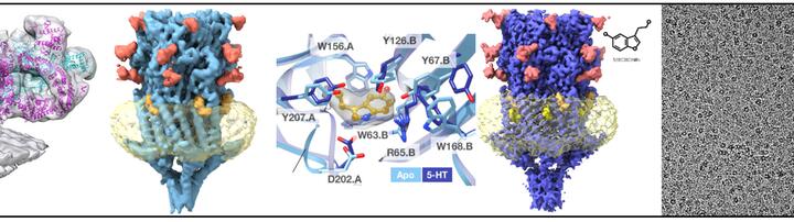 Kydrashev Lab Header