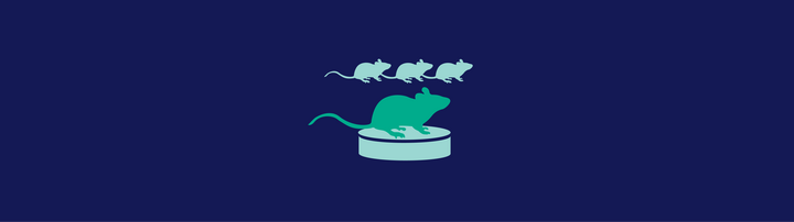 Illustration einer Maus