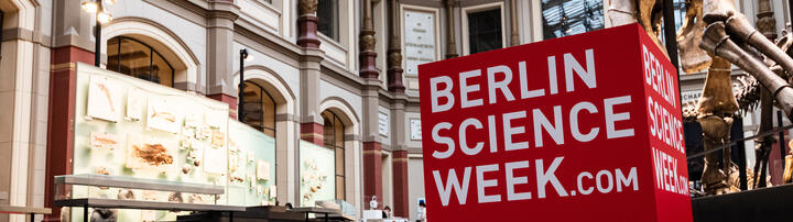 bsw felix petermann
