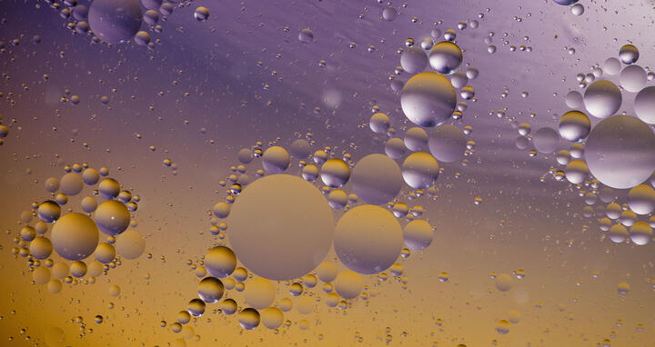 Lipid droplets