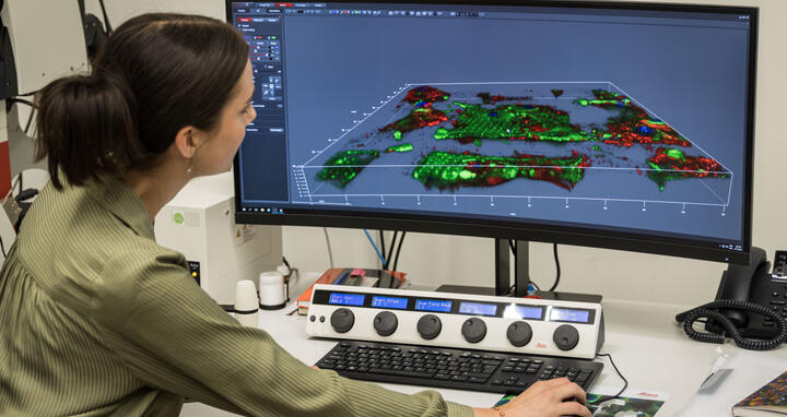 Woman working on scientific images on computer