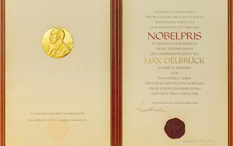 Nobelpreis-Urkunde von Max Delbrück