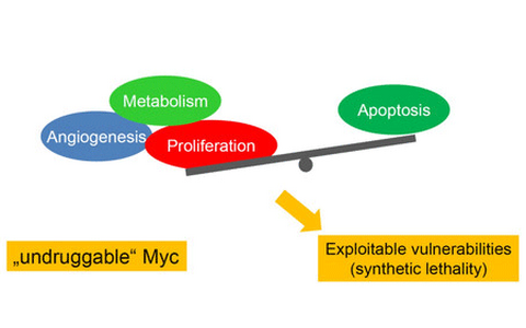 Myc-associated cancer biology