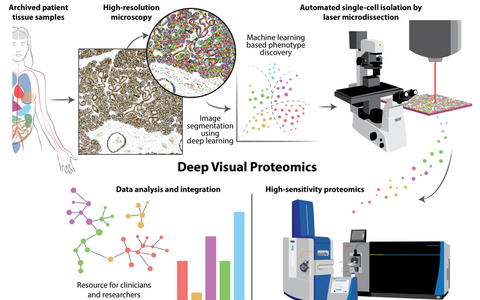 Deep Visual Proteomics workflow illustration