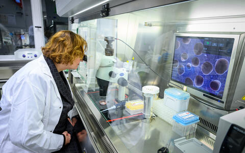 Ina Czyborra in the lab