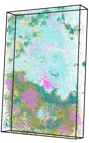 3D virtual tissue block. Colors indicate expression of select genes