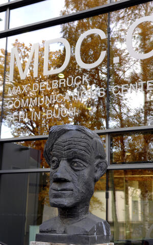 Bust of Nobel laureate Max Delbrück by Hans Scheib