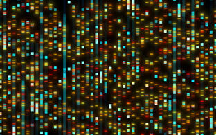 DNA Sequenz