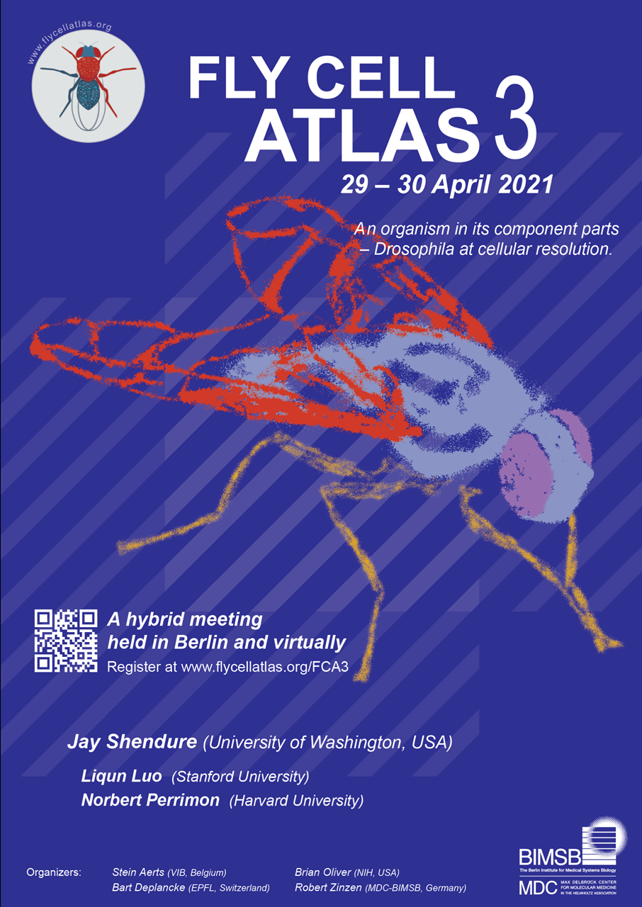 Fly Cell Atlas Poster