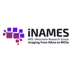 iNAMES logo
