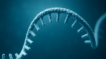 Messenger RNA strand 3D rendering Messenger RNA strand 3D rendering