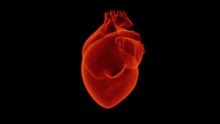 Artistic rendering of a heart